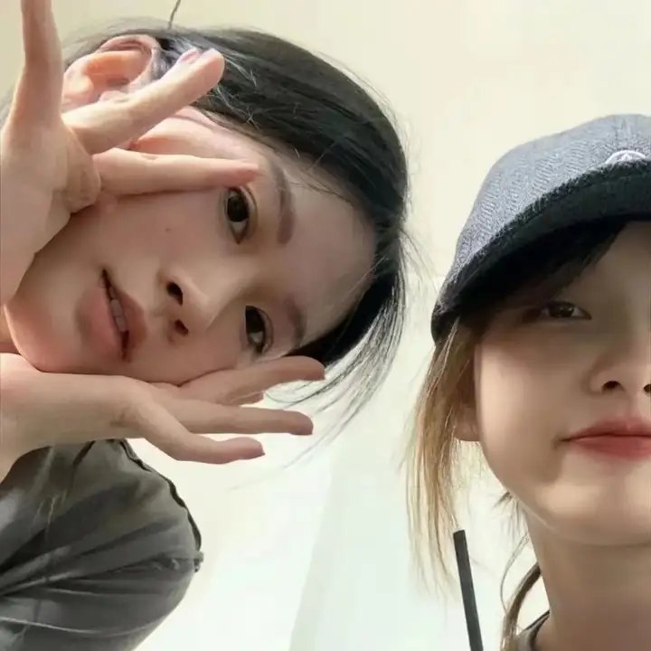 营救长颈鹿之漫漫归途